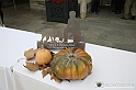 VBS_1260 - Fiera Nazionale del Tartufo e dei Santi 2022